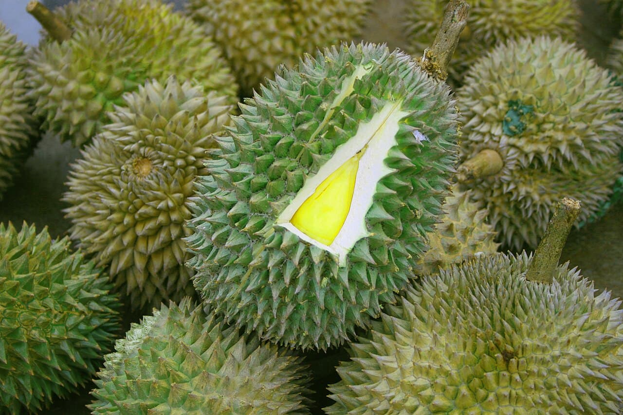 Durian Season