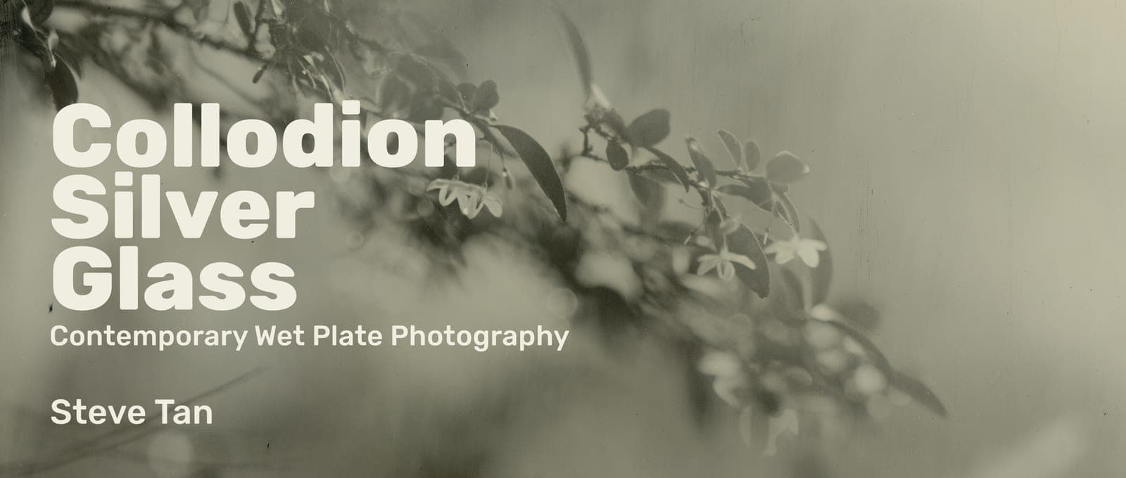 Collodion, Silver, Glass: Contemporary Wet Plate Photography