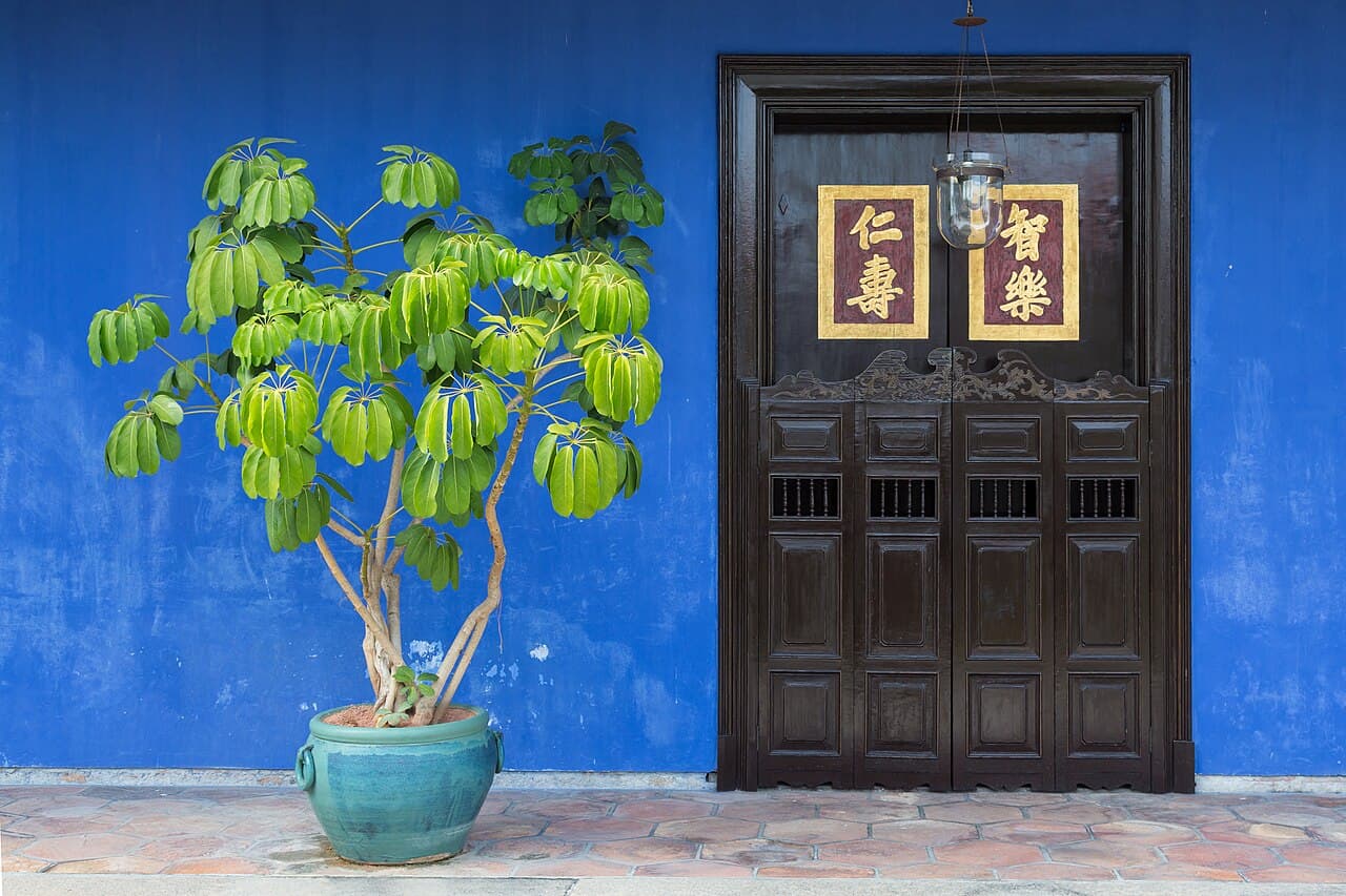 Cheong Fatt Tze - The Blue Mansion (Hotel)
