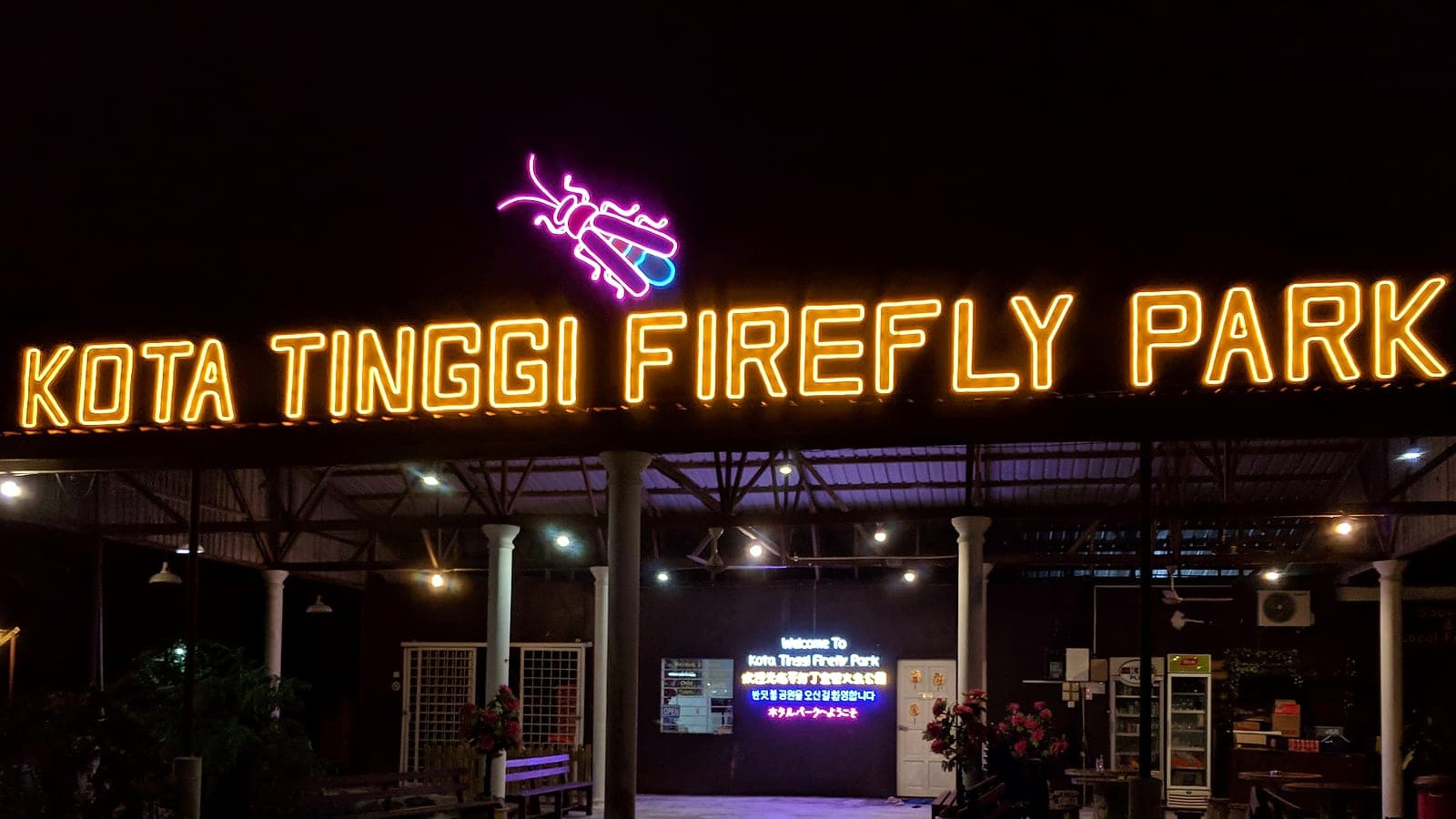 Firefly Watching — Teluk Bahang Mangroves