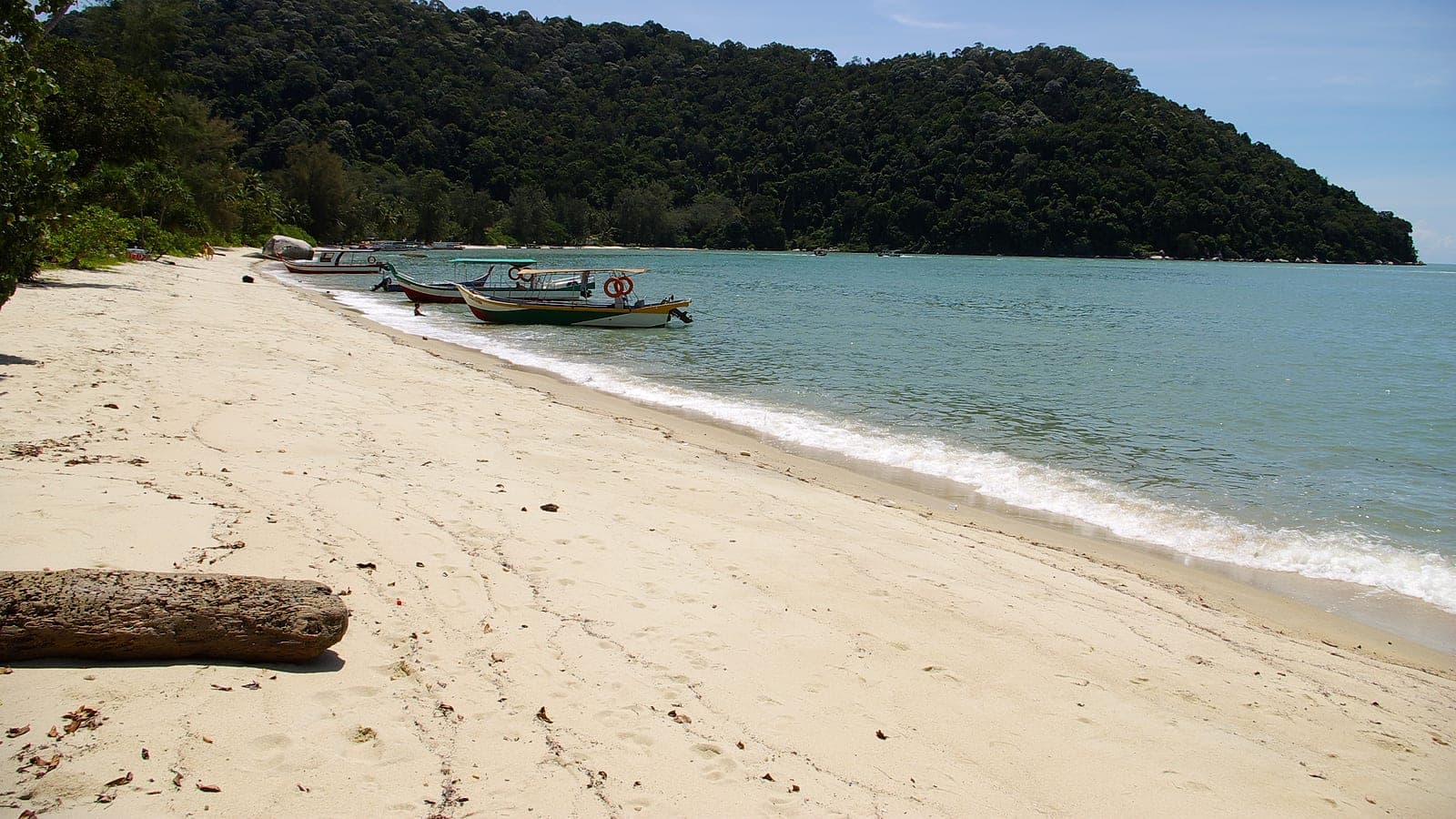 Monkey Beach (Teluk Duyung) Trail Guide: Hiking, Boat, and the Lighthouse Side-Trip