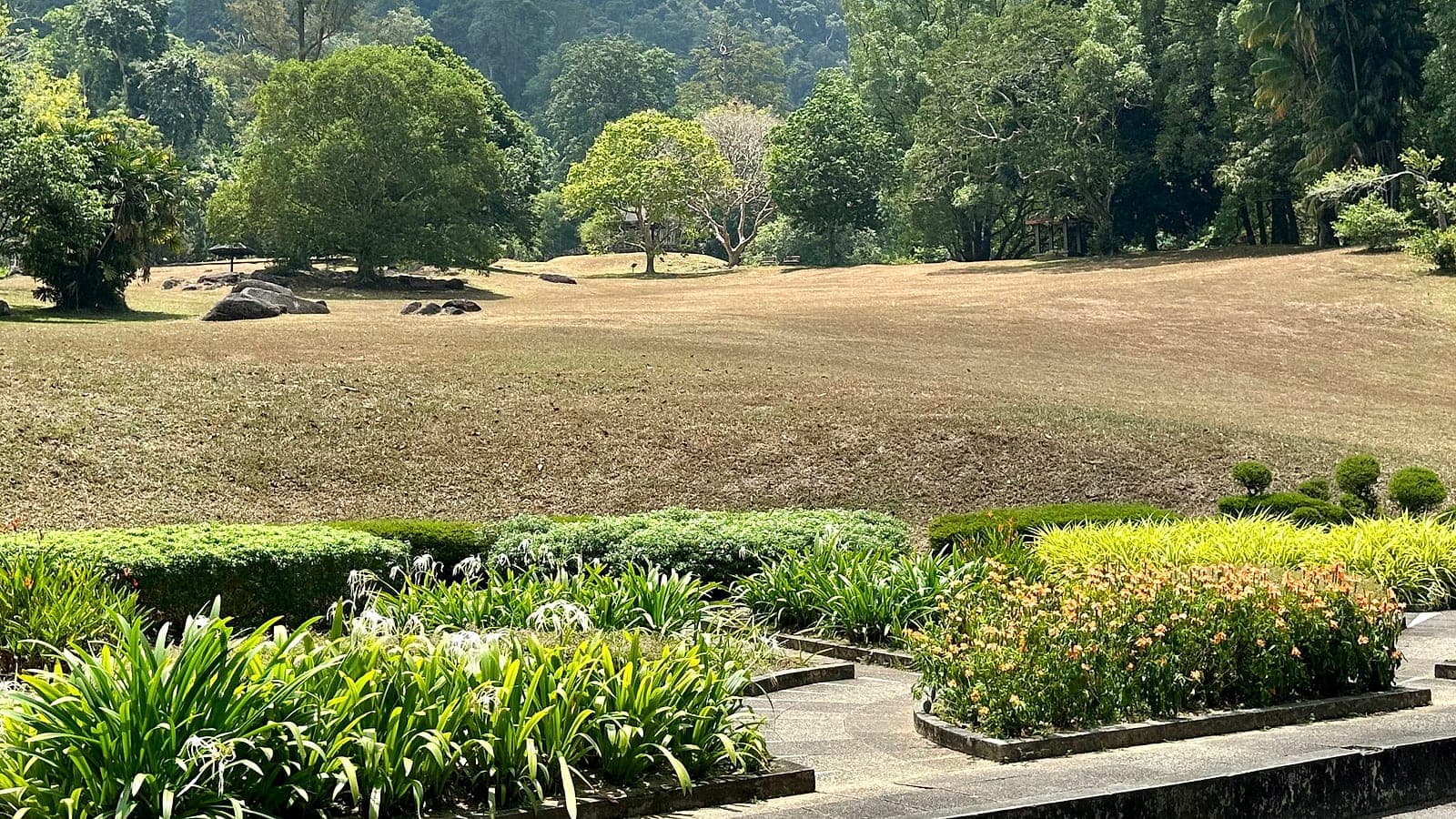 Landscaped grounds planted with a wide variety of tropical species