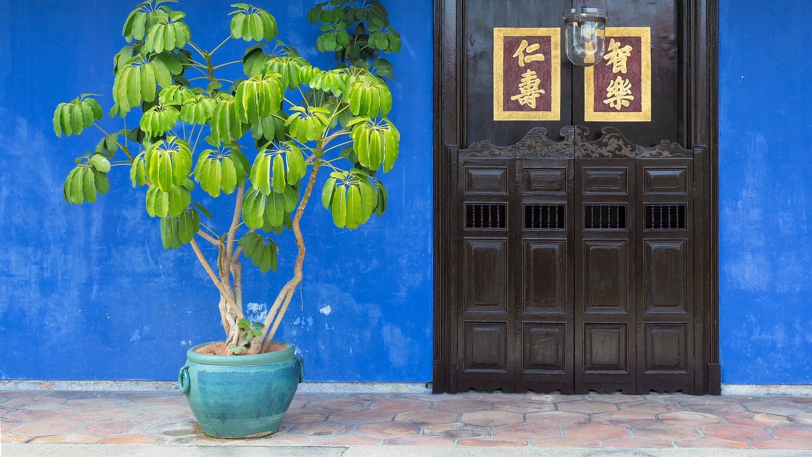 The indigo-blue façade that gives the 'Blue Mansion' its name