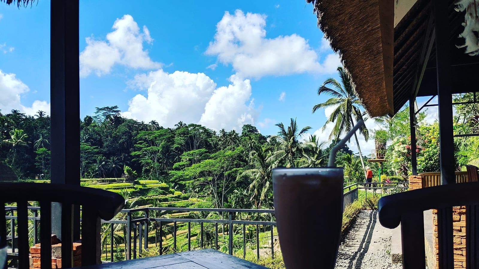 Tegallalang rice terraces, Bali