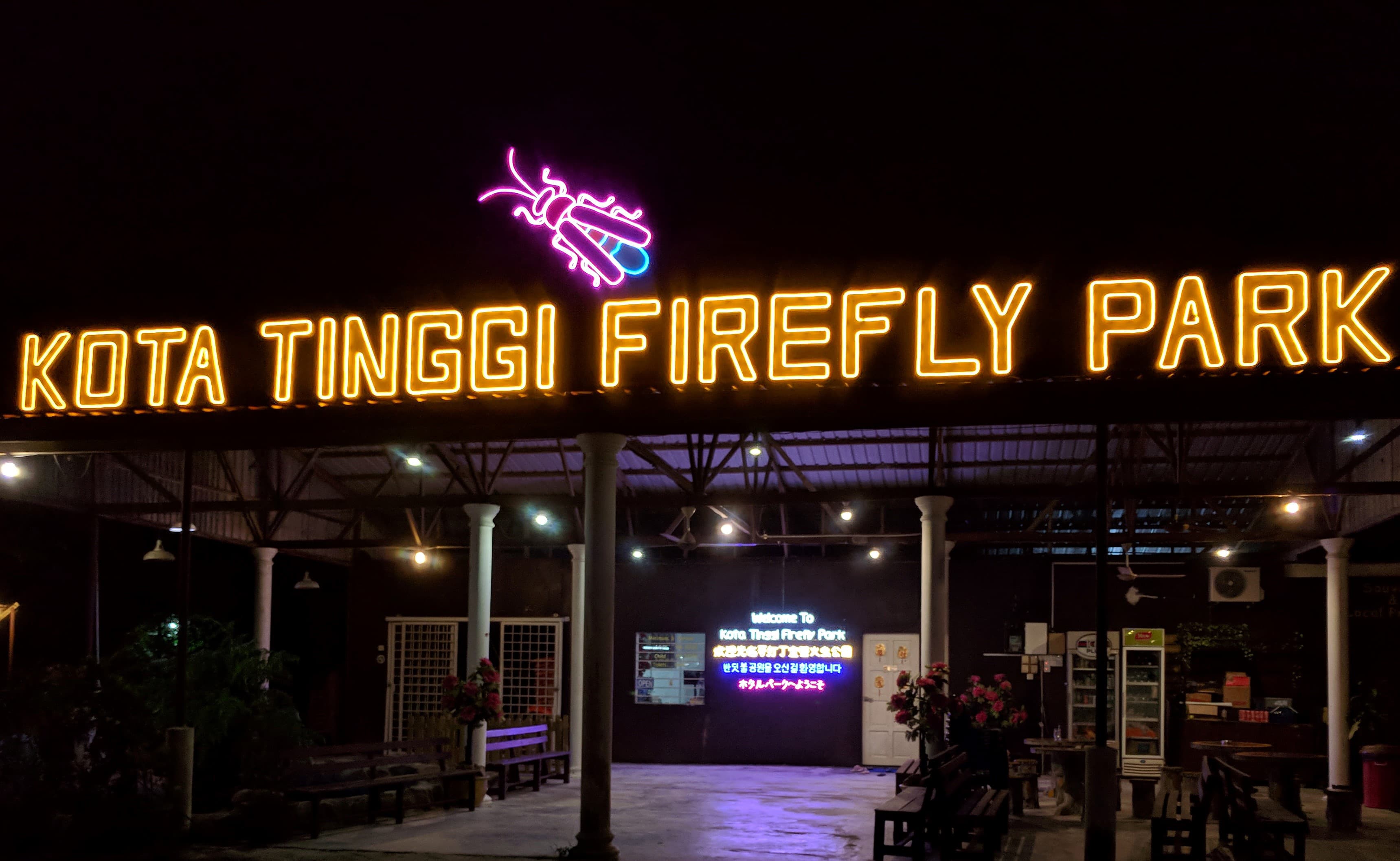 Firefly Watching β Teluk Bahang Mangroves