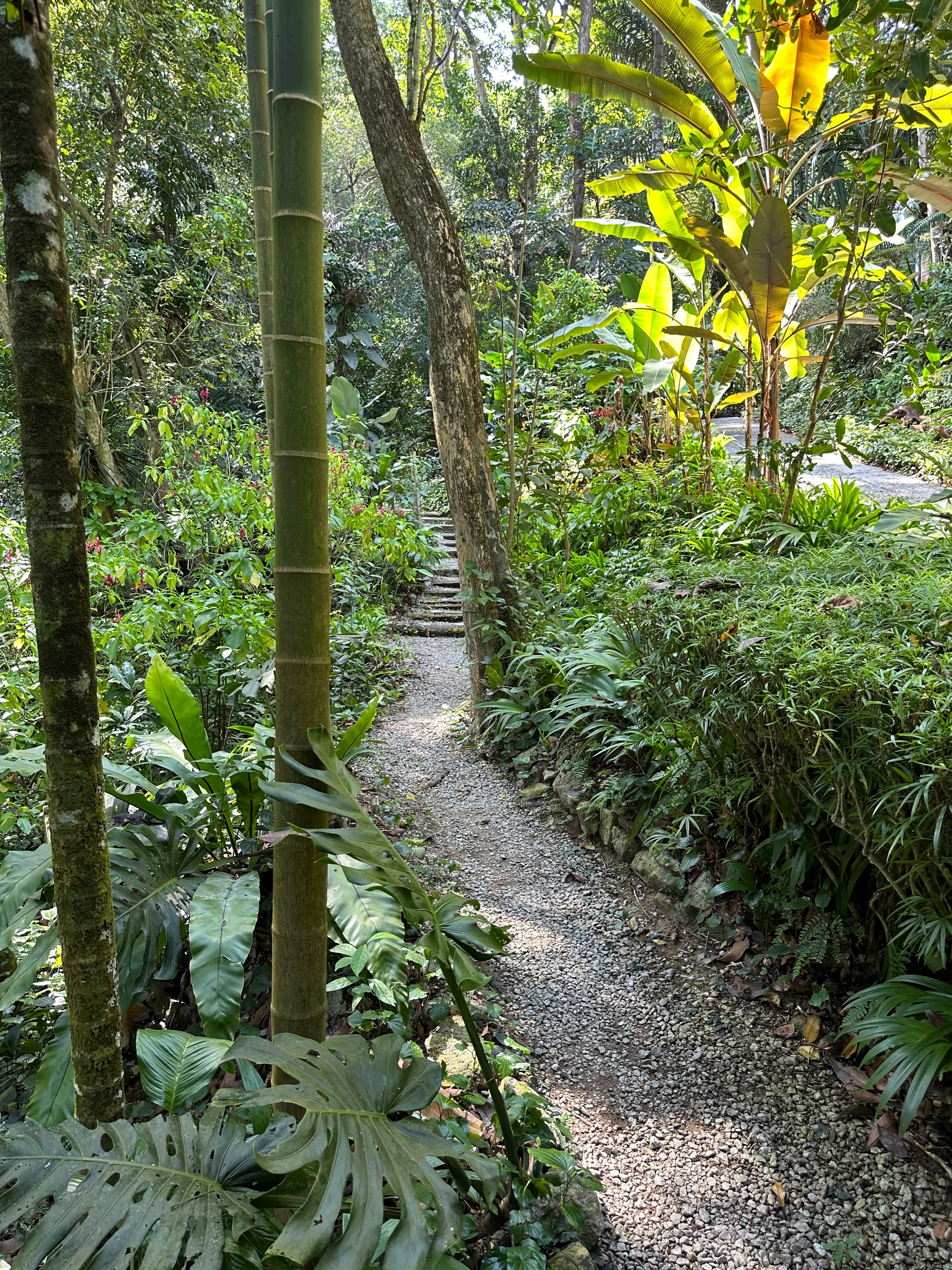 Penang Botanic Gardens