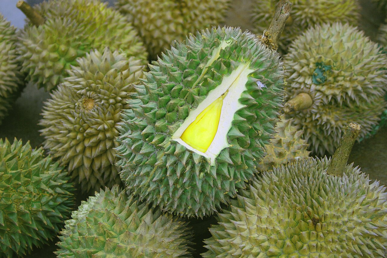 Durian Season
