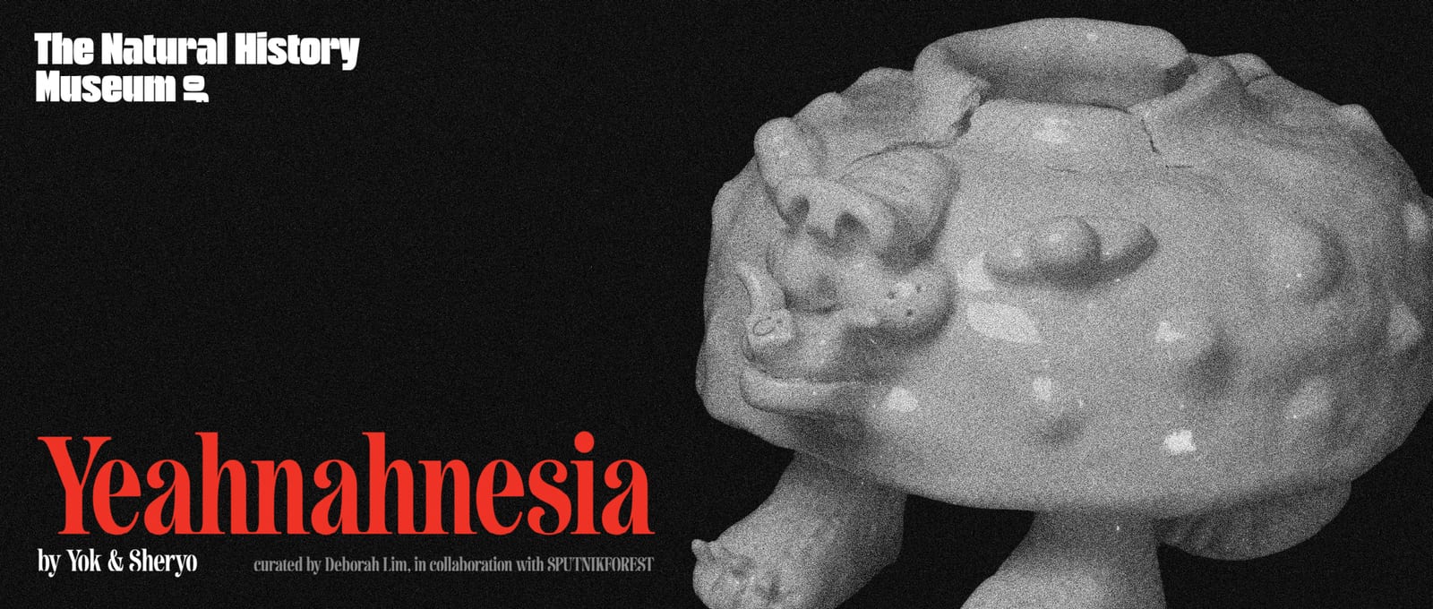The Natural History Museum of Yeahnahnesia by Yok and Sheryo