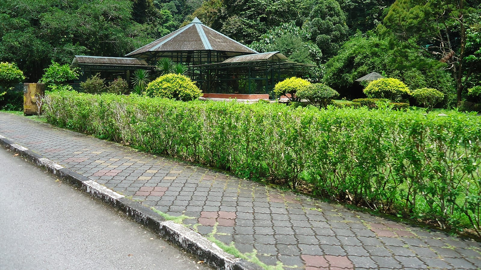 Wellness Retreat